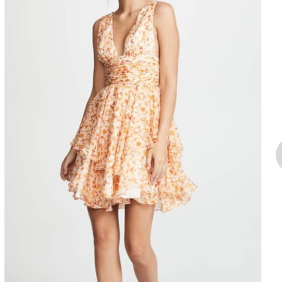 Caroline Constas Paros Dress - Picture 2 of 12